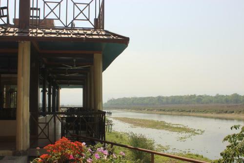 Lodge Jungle Wildlife Camp