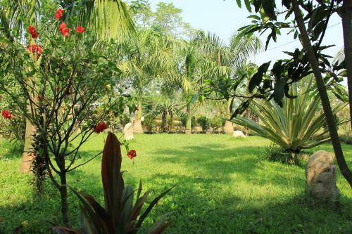 Hotel Chitwan Safari Camp & Lodge