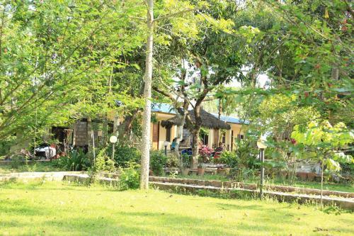 Hotel Chitwan Safari Camp & Lodge
