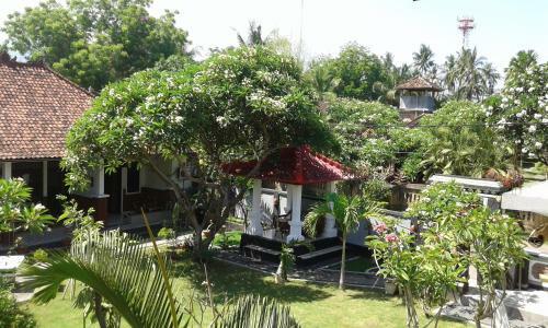 Hostal Puri Mandhara Lovina