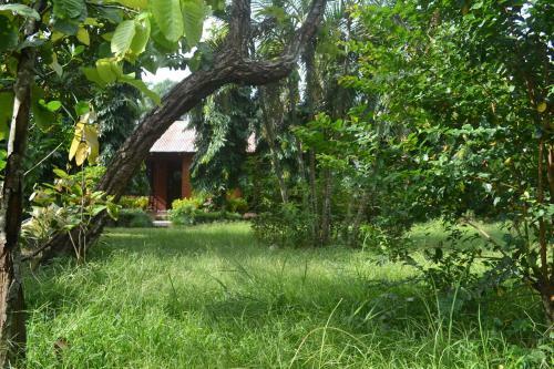 Bed & Breakfast River View Jungle Camp
