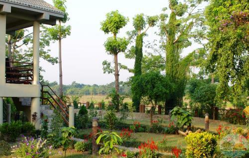 Bed & Breakfast River View Jungle Camp