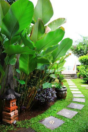 Lovina Beachhouse Villas