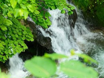 Niseko Konbu Onsen Tsuruga Moku-no-sho