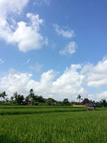 Bed & Breakfast Rumah Semanggi
