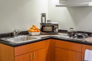 Hotel Comfort Suites (leesburg)