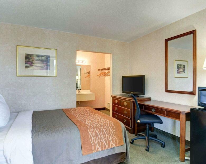 Hotel Comfort Inn Tysons Corner