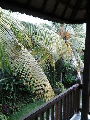 Hostal Rice Paddy Bungalow