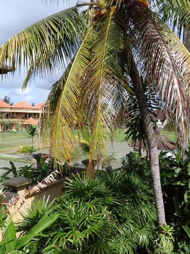 Hostal Rice Paddy Bungalow
