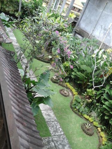 Hostal Rice Paddy Bungalow