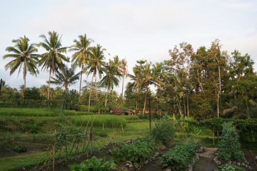 Beingsattvaa Retreat Villa