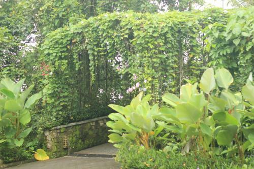 Beingsattvaa Retreat Villa