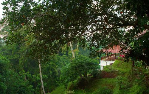 Beingsattvaa Retreat Villa