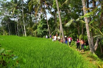 Beingsattvaa Retreat Villa