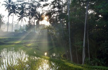 Beingsattvaa Retreat Villa