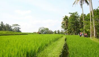 Beingsattvaa Retreat Villa