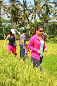 Beingsattvaa Retreat Villa