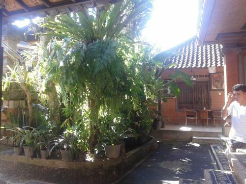 Hostal Raka House Accommodation
