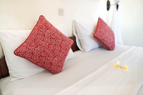 Hostal Raka House Accommodation