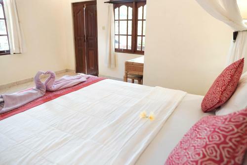 Hostal Raka House Accommodation