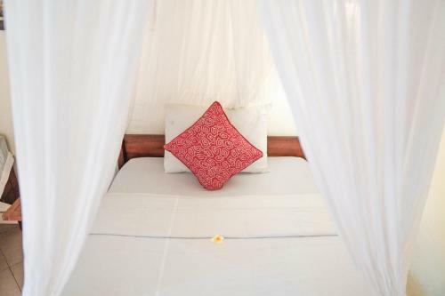 Hostal Raka House Accommodation