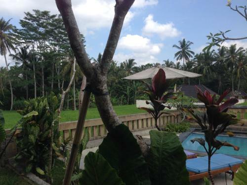 Hostal Ujung Ubud Guesthouse