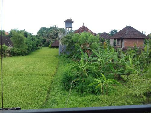 Hostal Eka Bali Guest House