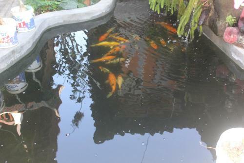 Cantik Homestay