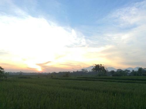 Ubud Rice Field Villa