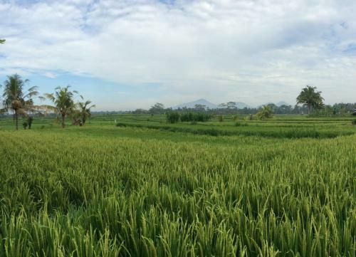 Ubud Rice Field Villa