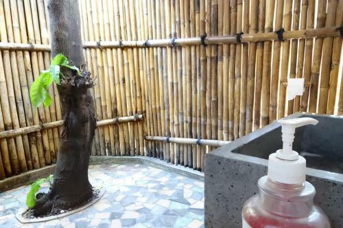 Hostal Viavia Guesthouse