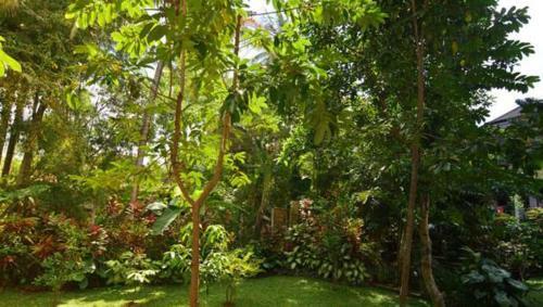 Hostal Artja Inn Ubud