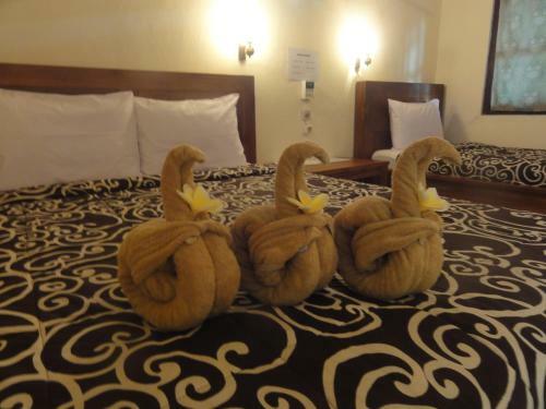 Donald Home Stay