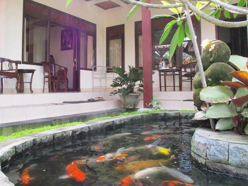 Bucu Guest House