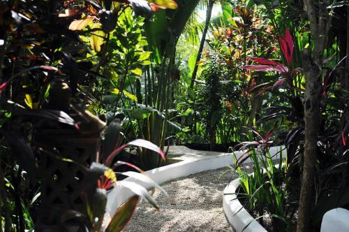 Hostal Teblin Oasis Villa Ubud Bali