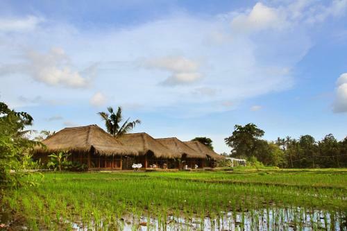 Hotel Sapu Lidi Resort Spa And Gallery