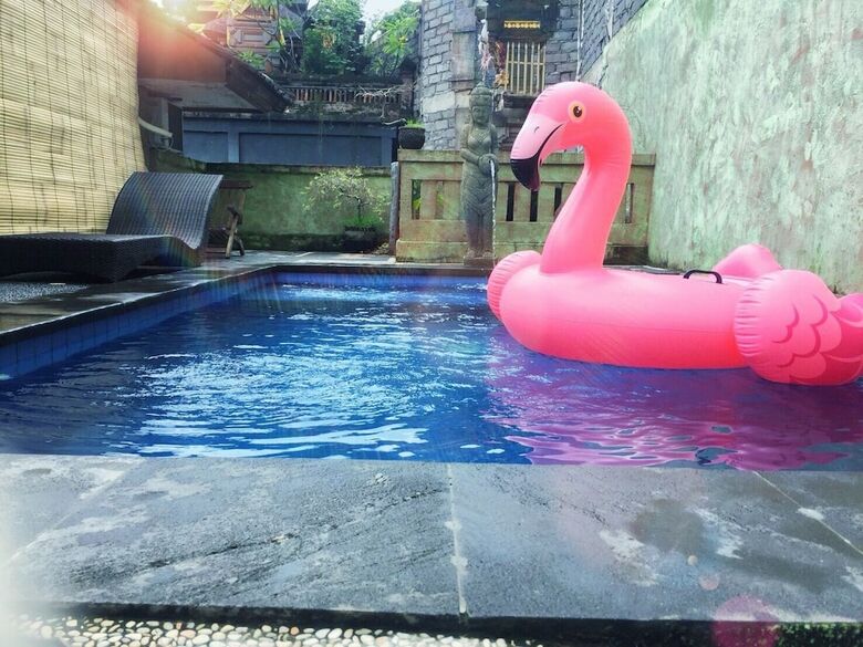 Bed & Breakfast Alamanda Accomodation