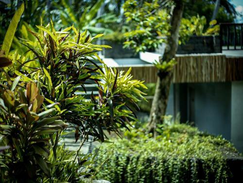 Hostal Angsoka Bungalow