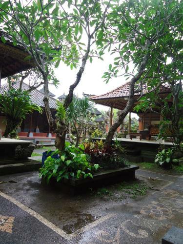 Hostal Warsa's Guest House