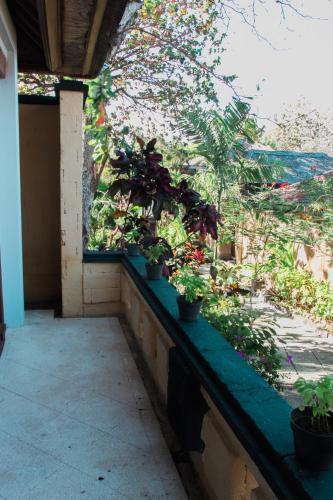 Sekar Nusa Villas