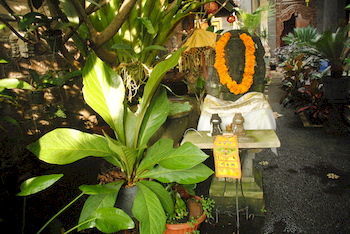 Hotel Jangkrik Homestay