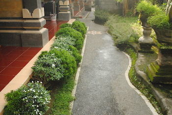 Hotel Jangkrik Homestay