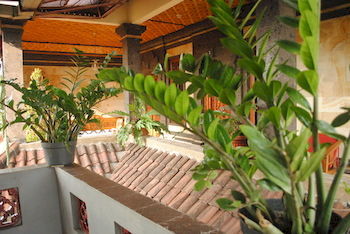 Hotel Jangkrik Homestay