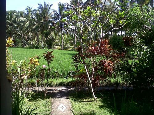 Hostal Arjana Bungalows Rice Field