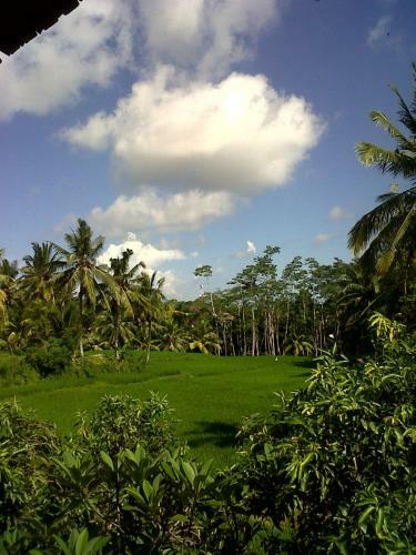 Hostal Arjana Bungalows Rice Field