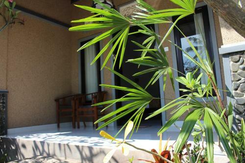 Magus Homestay