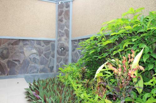 Magus Homestay