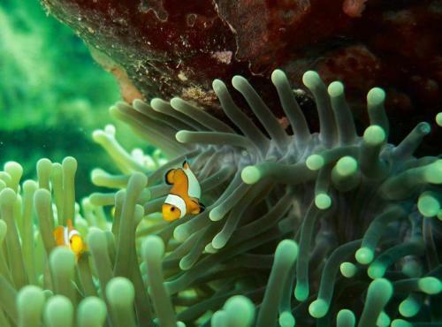 Hostal Pondok Rahayu Guest House