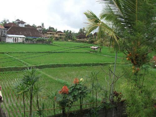 Hostal Gerhana Sari 2 Bungalows