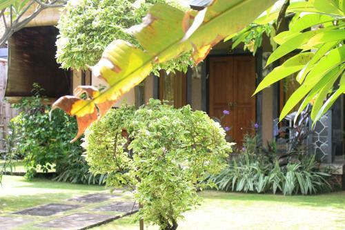 Hostal Pondok Shindu Guest House